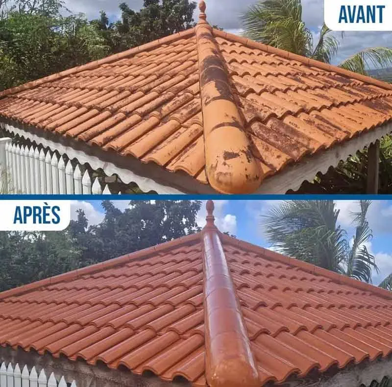 Protection toiture hydrofuge